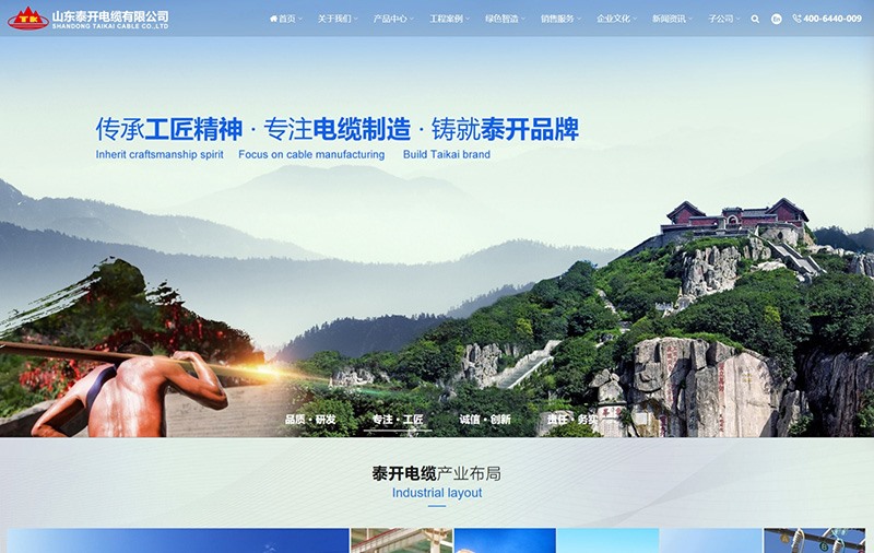 山东泰开电缆有限公司