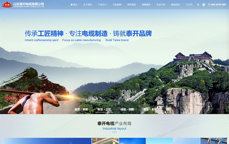 山东泰开电缆有限公司